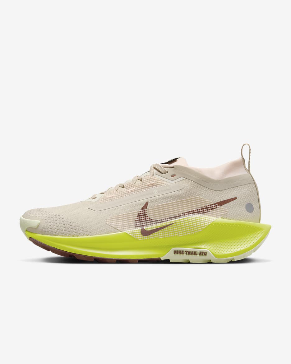 Nike Pegasus Trail 5 GORE-TEX