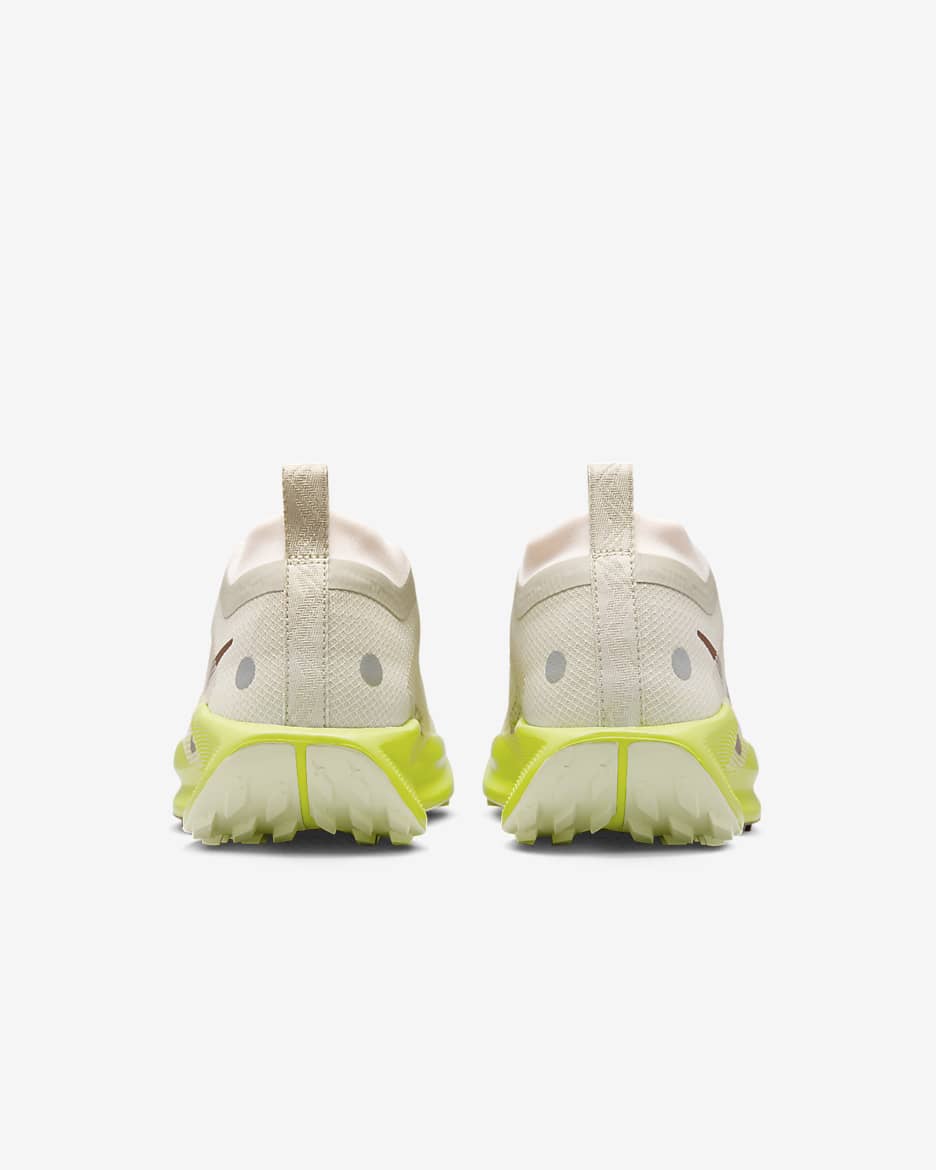 Nike Pegasus Trail 5 GORE-TEX