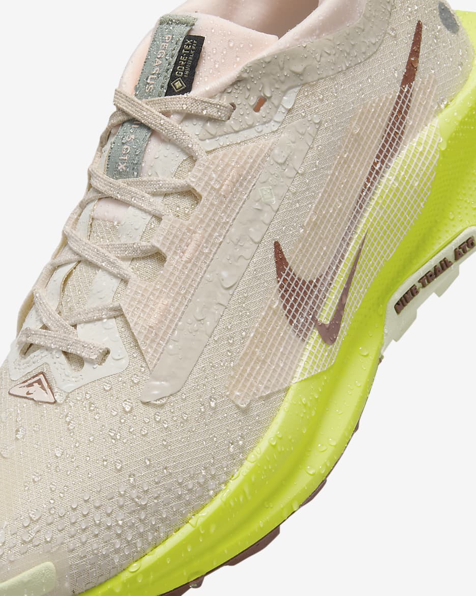 Nike Pegasus Trail 5 GORE-TEX