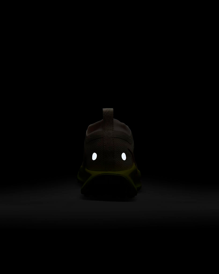 Nike Pegasus Trail 5 GORE-TEX