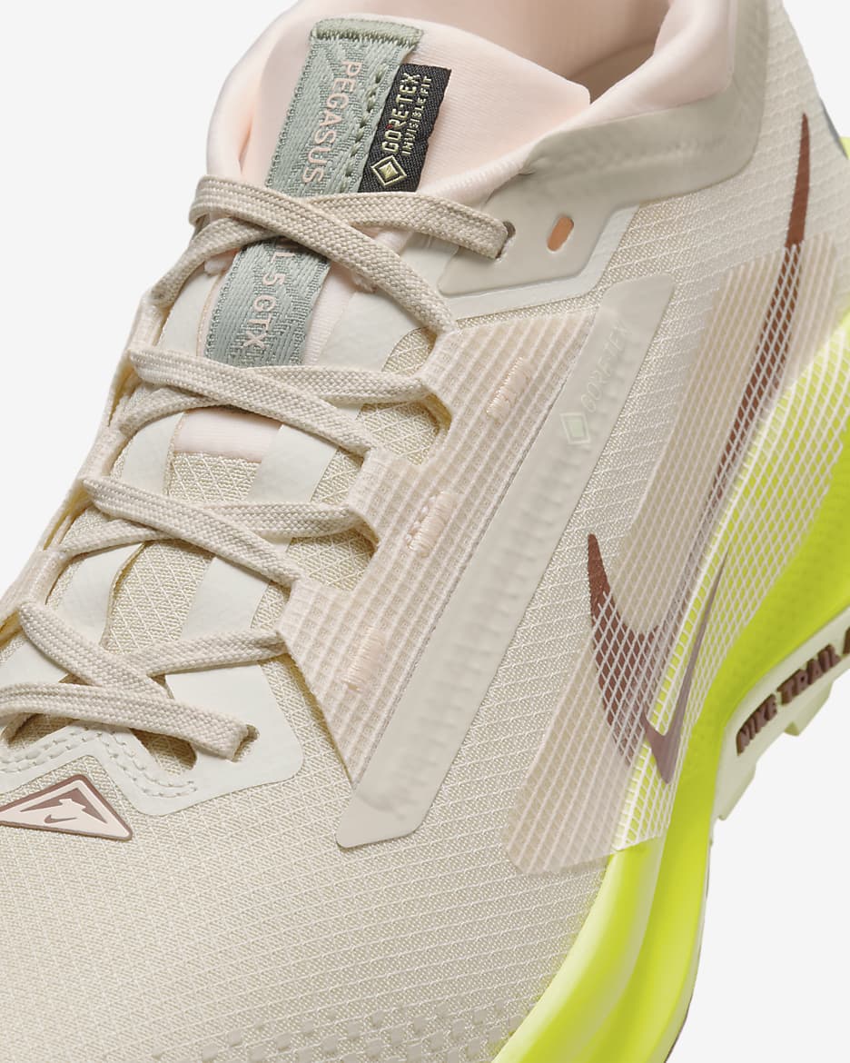 Nike Pegasus Trail 5 GORE-TEX
